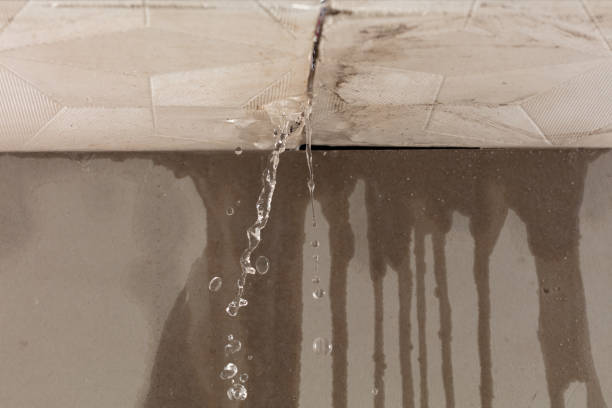 Professional Water Damage Repair technician working in Monrovia, CA
